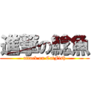 進撃の鯰魚 (attack on CatFish)