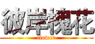 彼岸槐花 (flower)