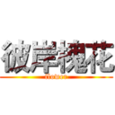 彼岸槐花 (flower)