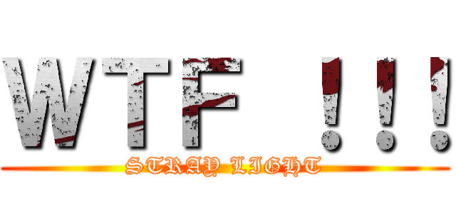 ＷＴＦ ！！！ (STRAY LIGHT)