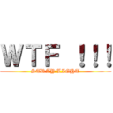 ＷＴＦ ！！！ (STRAY LIGHT)