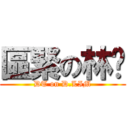 區緊の林瑋 (DT on D.LIM)