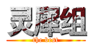 灵犀组 (the best)