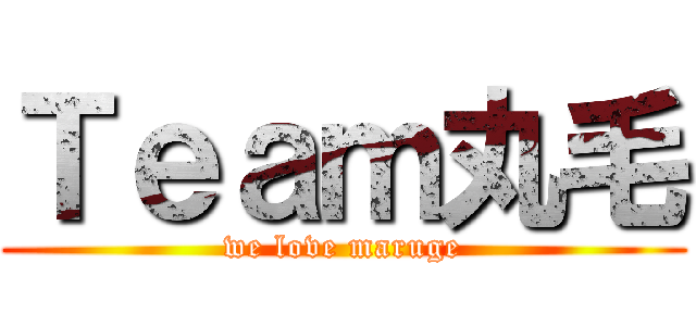 Ｔｅａｍ丸毛 (we love maruge)