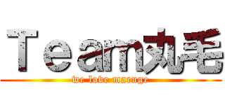 Ｔｅａｍ丸毛 (we love maruge)