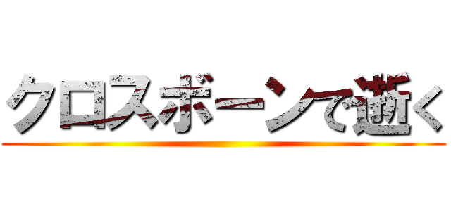 クロスボーンで逝く ()