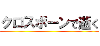 クロスボーンで逝く ()