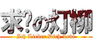 求踹の灯柳 (Ich Lieber Dich Levi)