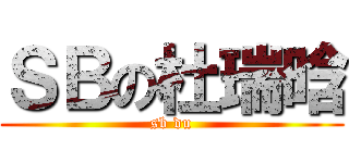 ＳＢの杜瑞晗 (sb du)