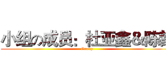 小组の成员：杜亚鑫＆陈都 (Group)
