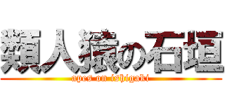 類人猿の石垣 (apes on ishigaki)