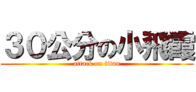 ３０公分の小飛霞 (attack on titan)