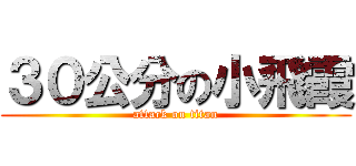 ３０公分の小飛霞 (attack on titan)