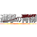 進撃の青柳 (Roll cake tabetai)