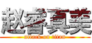 赵睿真美 (attack on titan)