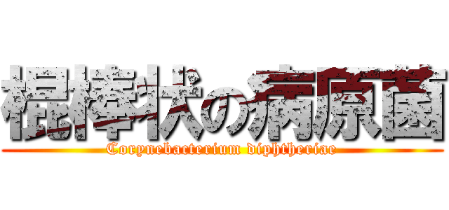 棍棒状の病原菌 (Corynebacterium diphtheriae)