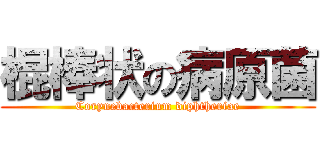 棍棒状の病原菌 (Corynebacterium diphtheriae)