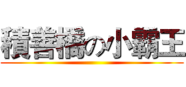 積善橋の小霸王 ()