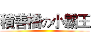 積善橋の小霸王 ()