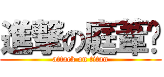 進撃の庭葦貓 (attack on titan)