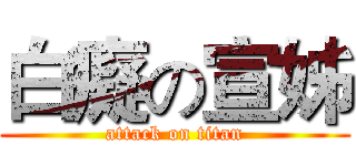 白癡の宣姊 (attack on titan)