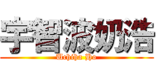 宇智波奶浩 (Uchiha Ho)