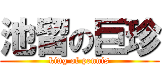 池留の巨珍 (king of pennis)