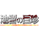 池留の巨珍 (king of pennis)