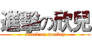 進擊の欣兒 (attack on monkey)