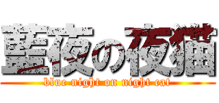 藍夜の夜猫 (blue night on night cat)