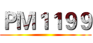 ＰＭ１１９９ ()