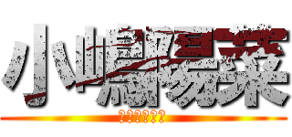 小嶋陽菜 (にゃんにゃん)