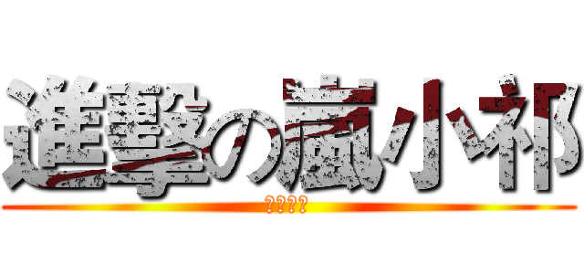 進擊の嵐小祁 (神人哈哈)