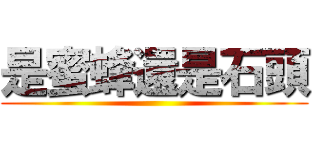 是蜜蜂還是石頭 ()