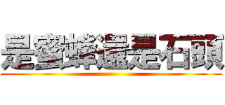是蜜蜂還是石頭 ()