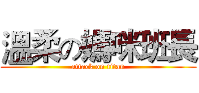 溫柔の媽咪班長 (attack on titan)