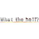 Ｗｈａｔ ｔｈｅ ｈｅｌｌ？ (attack on titan)
