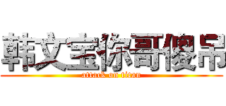 韩文宝你哥傻吊 (attack on titan)