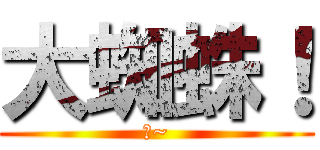 大蜘蛛！ (帥~)