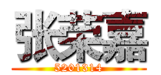 张荣嘉 (5201314)