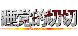 睡觉的切切 (Sleeping)