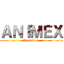 ＡＮＩＭＥＸ (                 Youtube                    )