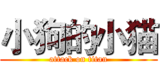小狗的小猫 (attack on titan)