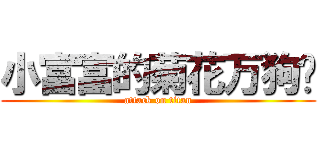 小富富的菊花万狗捅 (attack on titan)