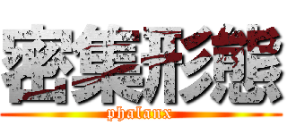 密集形態 (phalanx)