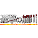 進撃の加川 (attack on kagawa)