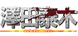 澤田泰木 (sawadataiki)
