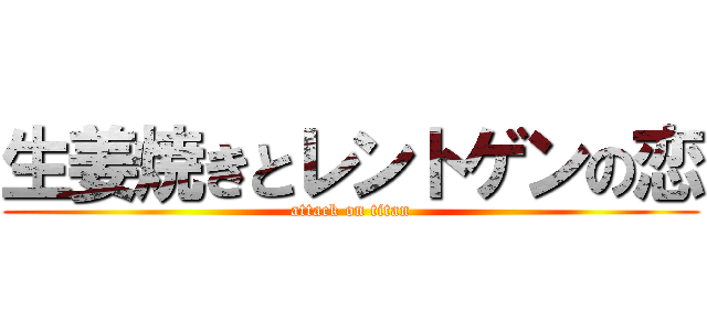 生姜焼きとレントゲンの恋 (attack on titan)