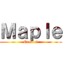Ｍａｐｌｅ (Create創)