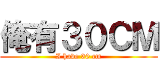 俺有３０ＣＭ (I have 30 cm)